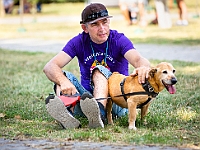 Adoptuj Warszawiaka  Wydarzenie promujące adopcję zwierząt. Organizator: Schronisko dla Bezdomnych Zwierząt "Na Paluchu". 18 sierpnia 2019, Park Raszyński w Raszynie. : park raszyński, adoptuj warszawiaka, na paluchu, schronisko dla zwierząt, centrum warszawy, raszyn